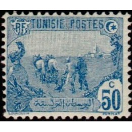 Tunisie - 074