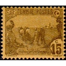 Tunisie - 101