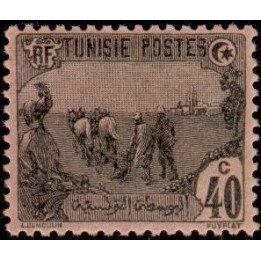 Tunisie - 103