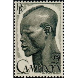 Cameroun - 294