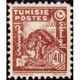 Tunisie - 251