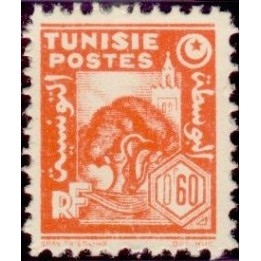 Tunisie - 252