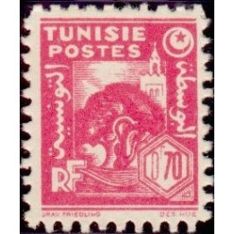 Tunisie - 253