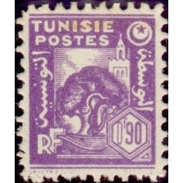 Tunisie - 255