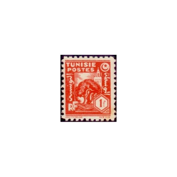 Tunisie - 256