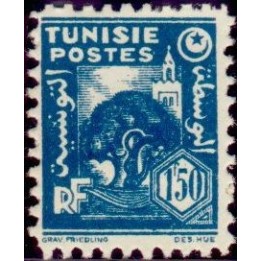 Tunisie - 257