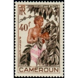 Cameroun - 299