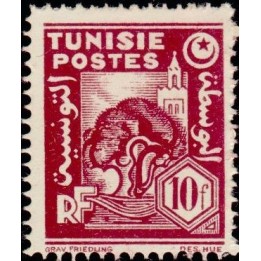 Tunisie - 265