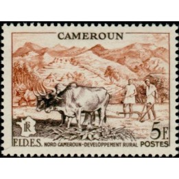 Cameroun - 300