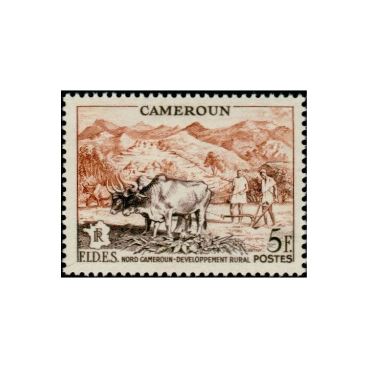 Cameroun - 300