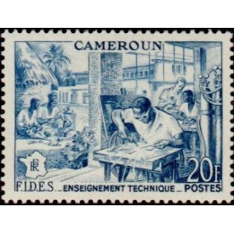 Cameroun - 302