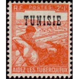 Tunisie - 299