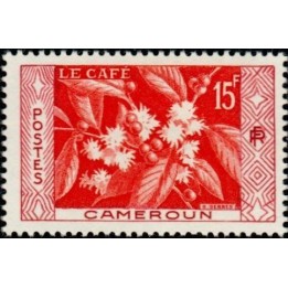 Cameroun - 304