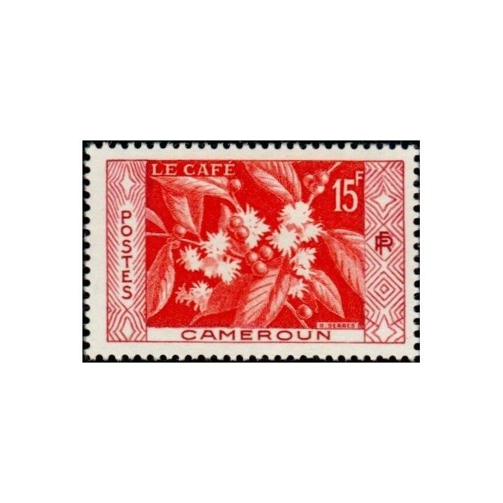 Cameroun - 304