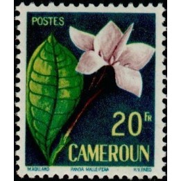 Cameroun - 307