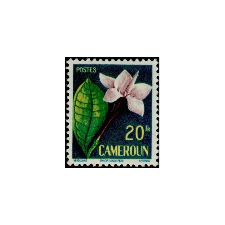 Cameroun - 307