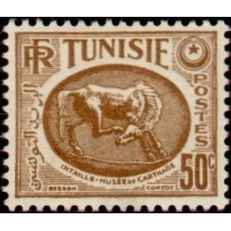 Tunisie - 338