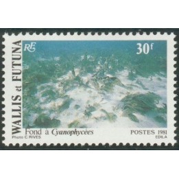 Wallis et Futuna - 268