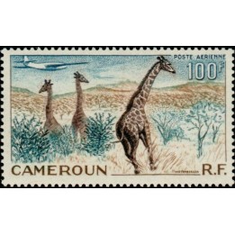 Cameroun - Poste Aérienne 47