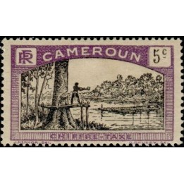 Cameroun - Taxe 03