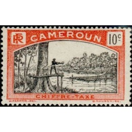 Cameroun - Taxe 04