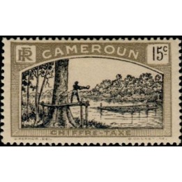 Cameroun - Taxe 05