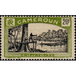 Cameroun - Taxe 06
