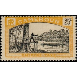 Cameroun - Taxe 07