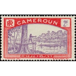 Cameroun - Taxe 12