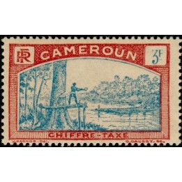 Cameroun - Taxe 13