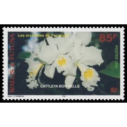 Wallis et Futuna - 514