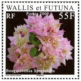 Wallis et Futuna - 713