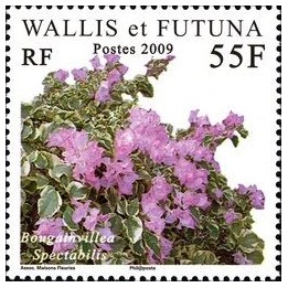 Wallis et Futuna - 714