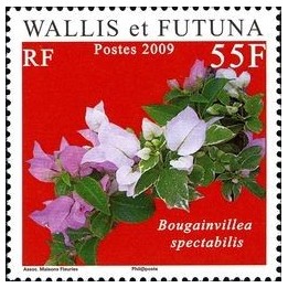 Wallis et Futuna - 715