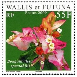 Wallis et Futuna - 716