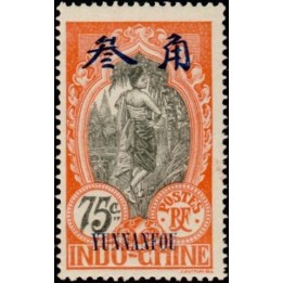 Yunnanfou - 45