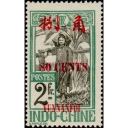 Yunnanfou - 64