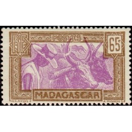 Madagascar - 172a