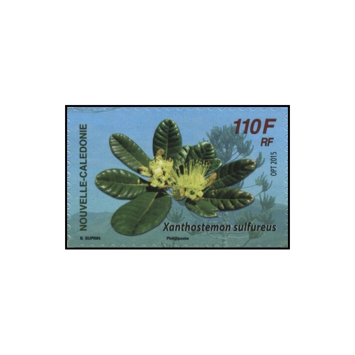 Nouvelle-Caledonie - 1256