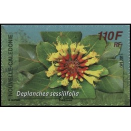 Nouvelle-Caledonie - 1257