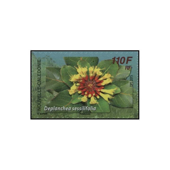 Nouvelle-Caledonie - 1257