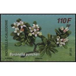 Nouvelle-Caledonie - 1258
