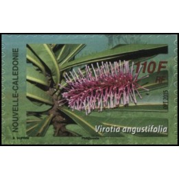 Nouvelle-Caledonie - 1260