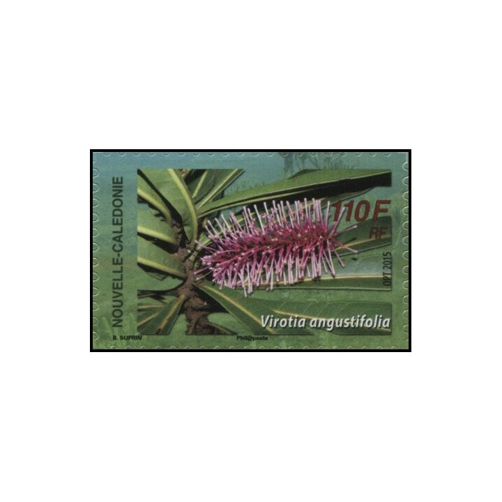 Nouvelle-Caledonie - 1260