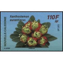 Nouvelle-Caledonie - 1254