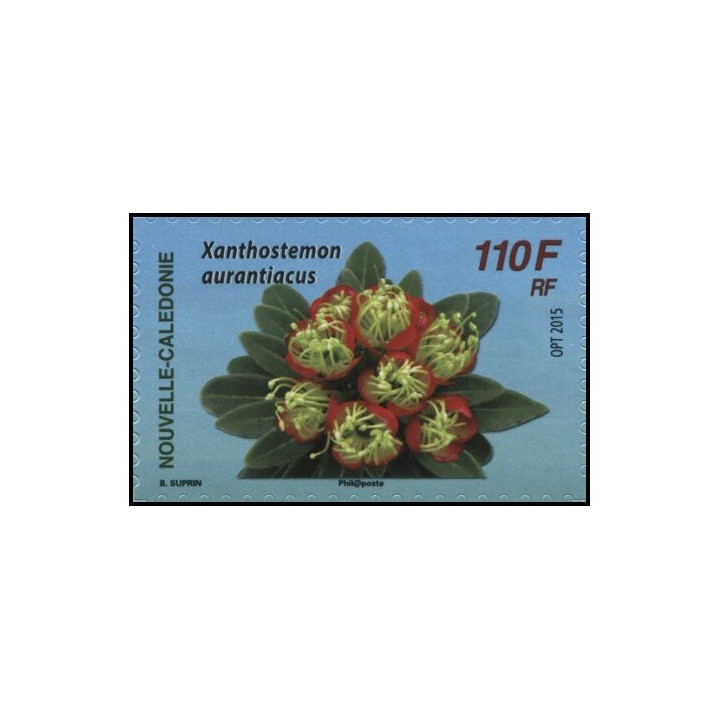 Nouvelle-Caledonie - 1254