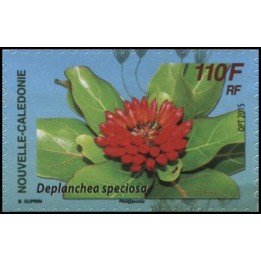 Nouvelle-Caledonie - 1255