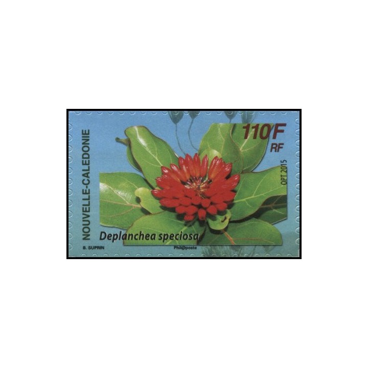 Nouvelle-Caledonie - 1255