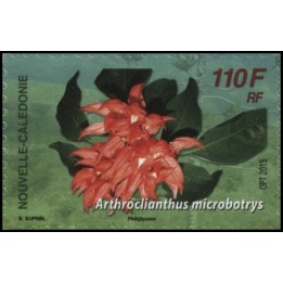 Nouvelle-Caledonie - 1261