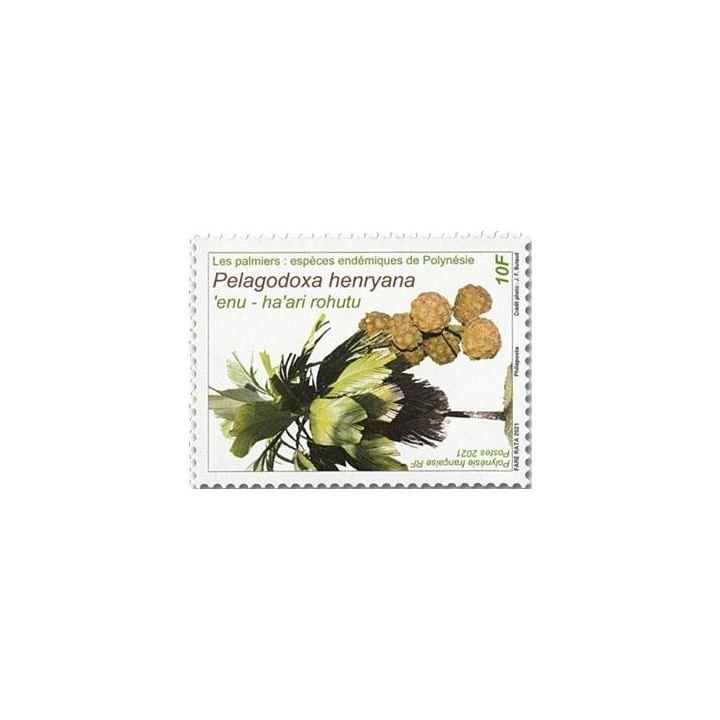 Polynesie Francaise - 1262